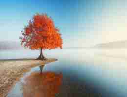 定﻿制‍Python编﻿程‍教‌程​